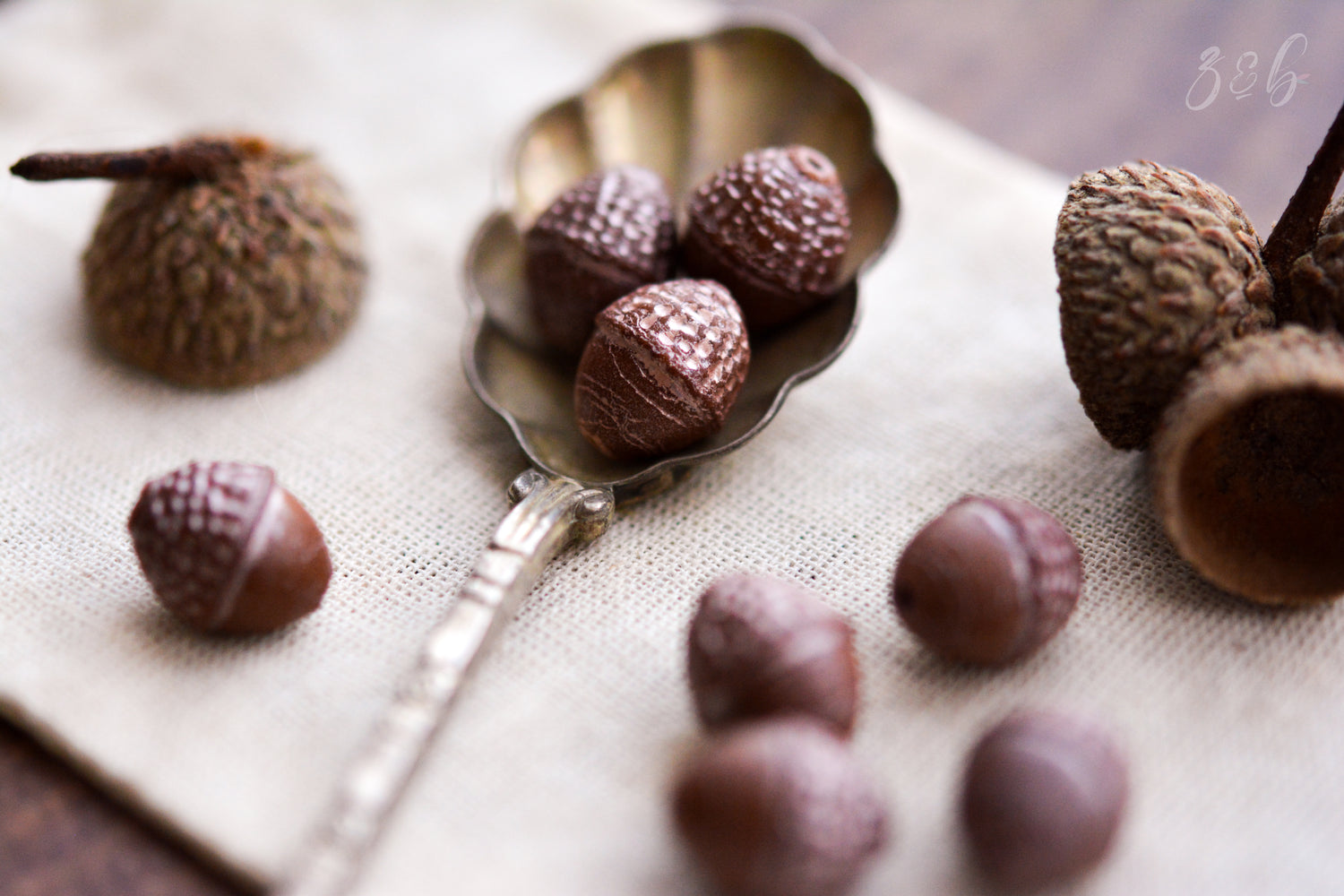 Gather acorns